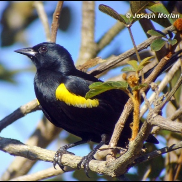 Meet your Posher, Sandra - Picture 7 of 8